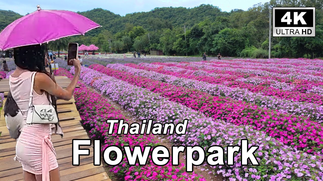 Thailand Khao Yai Flowerpark