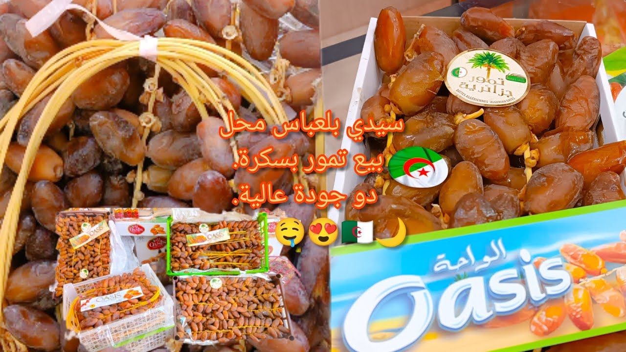 سيدي بلعباس محل بيع تمور بسكرة دو جودة عالية 🤤😍🇩🇿🌙 طريق النجاح 22 03 2023