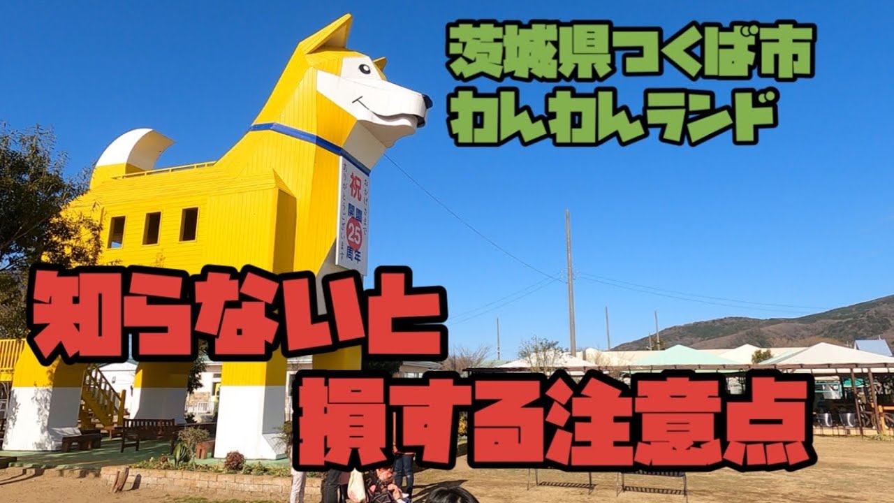 犬の楽園　わんわんランド