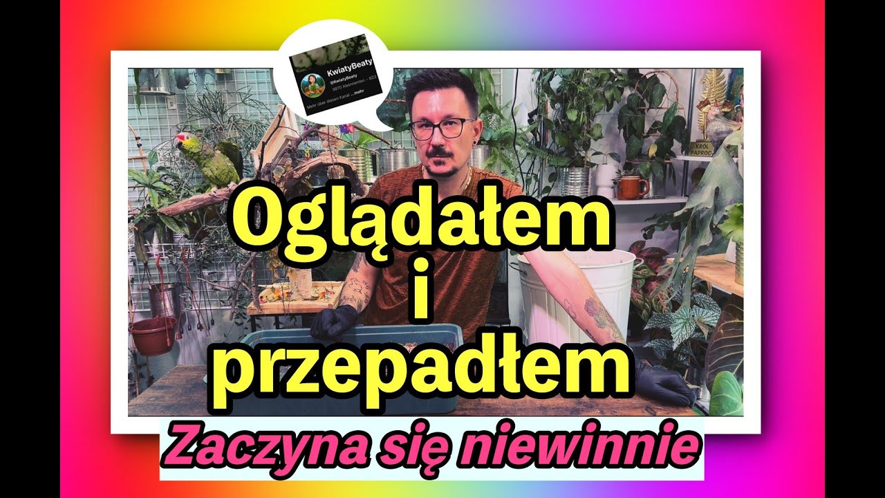Czy Kanały Roślinne Są NAPRAWDĘ SZKODLIWE dla Twojego Zdrowia Psychicznego?
