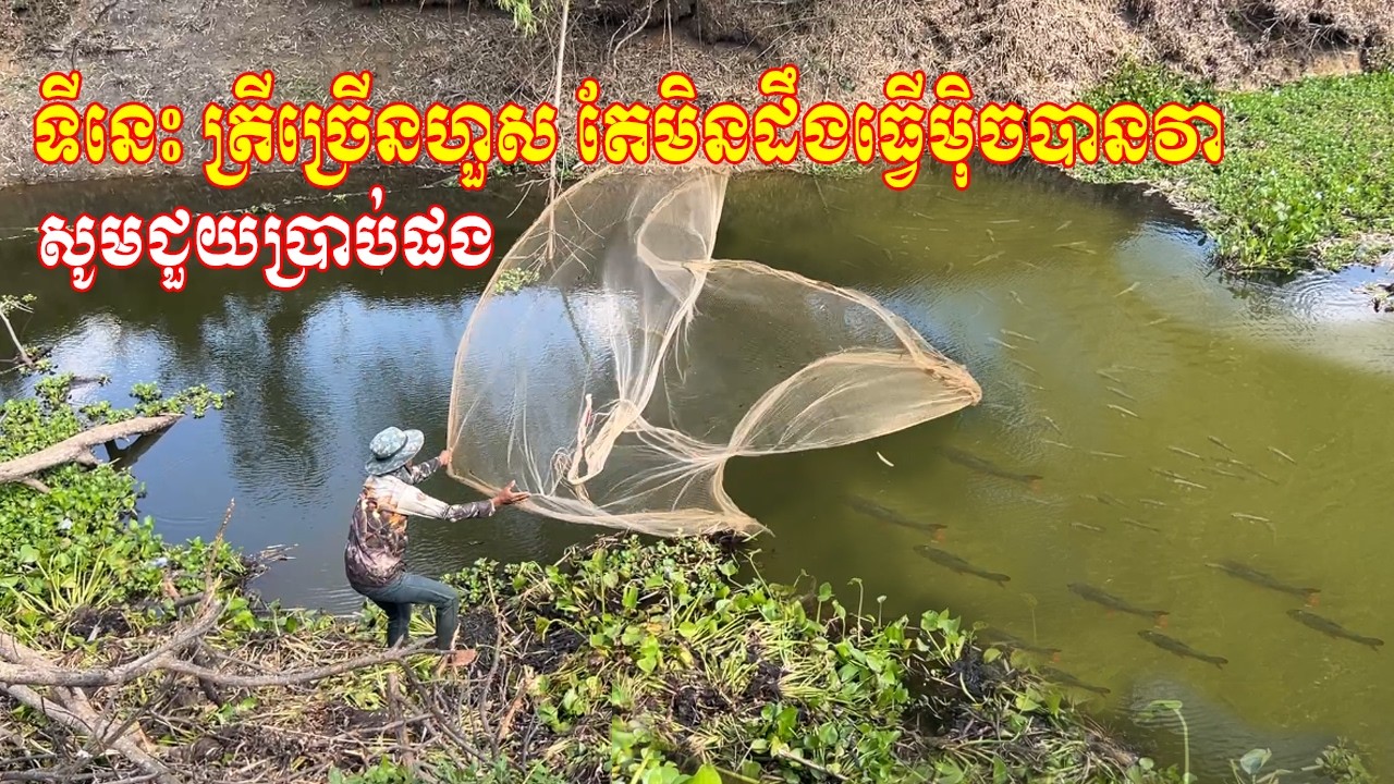 ទីនេះត្រីច្រើនហួស តែមិនដឹងធ្វើម៉ិចបានវា សូមបងៗជួយប្រាប់វិធីផង