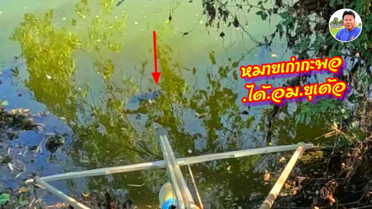 สามแต้ม.ได้.อมยุครับ