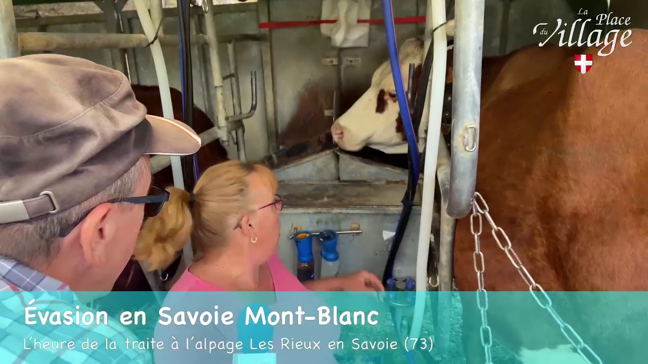 🔴En Direct: Évasion en Savoie Mont-Blanc/L’heure de la traite à l’alpage Les Rieux en Savoie...