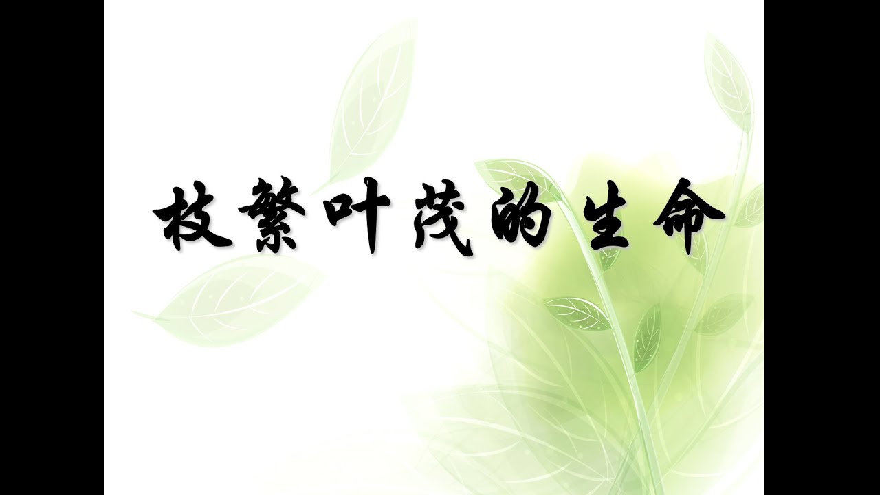 枝繁叶茂的生命