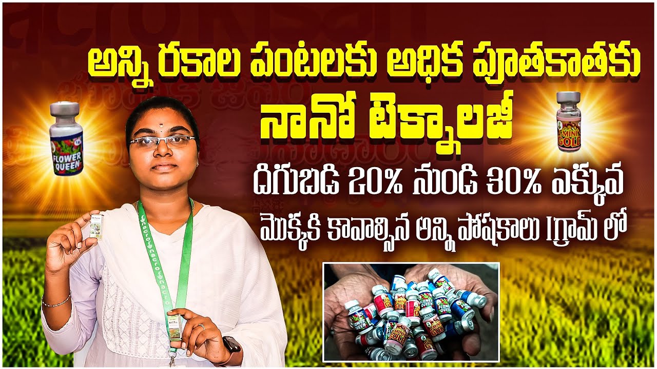 1 గ్రామ్ తో మొక్కకు కావాల్సిన అన్నిరకాల పోషకాలు || Nano Technology Growth Promoter || Agriculture