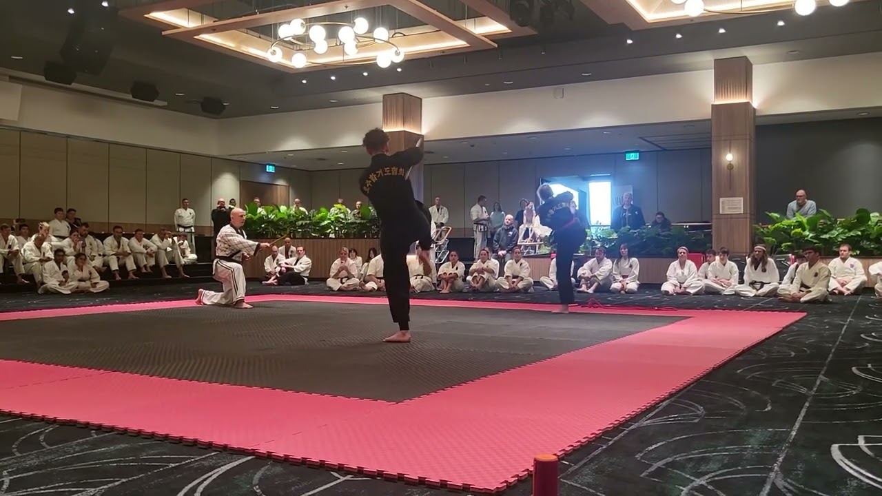 AMAHOF HAPKIDO DEMO 1