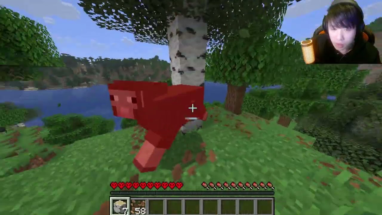 初配信！マイクラ初心者によるハードコアエンダードラゴン討伐編＃2