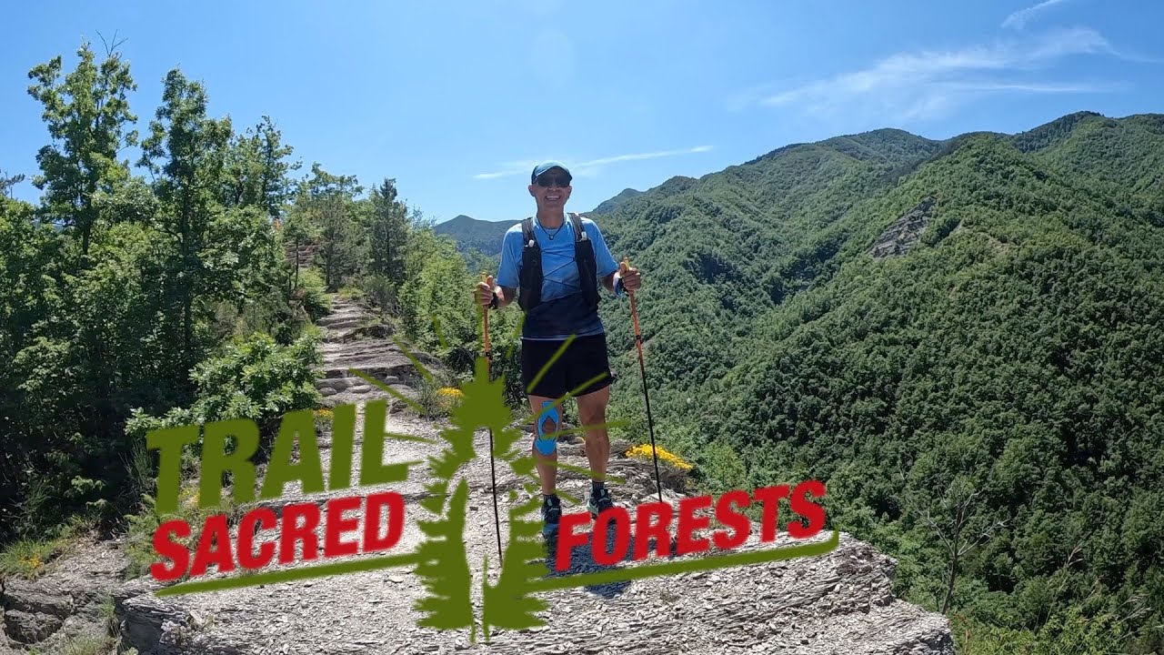 Trail Sacred Forest 2025