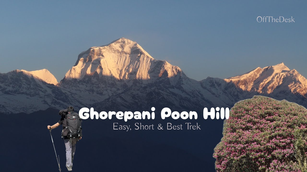 Ghorepani Poon Hill Trek | Easy, Short and Best Trek in Nepal 2024