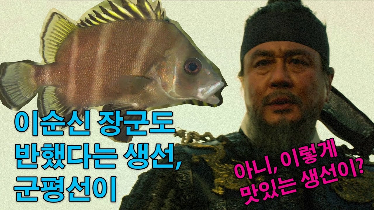 이순신장군도 반했다는 생선, 군평선이(딱돔) [어영차바다야]