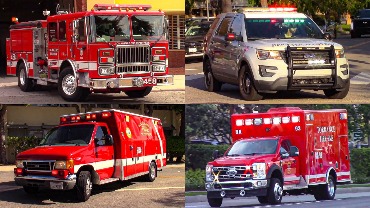 February 2026 Compilation