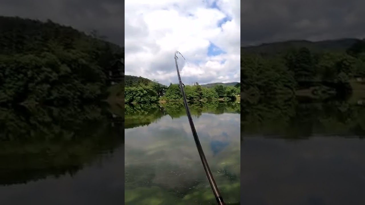 Double fish!! 