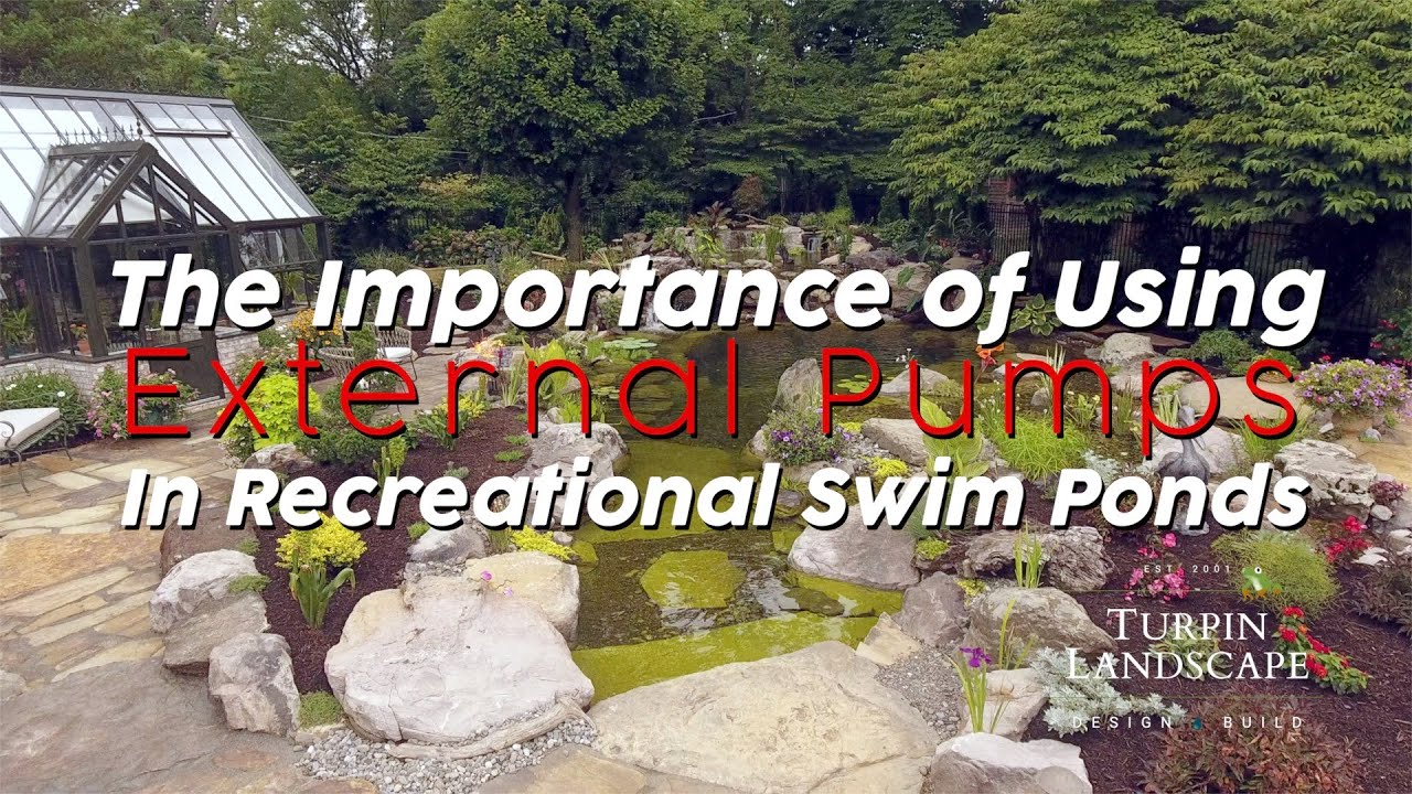 External Pumps for Recreational Swim Ponds