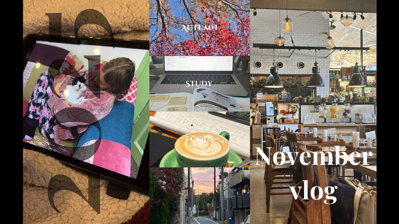 November Silent Vlog: cats, study stress, autumn
