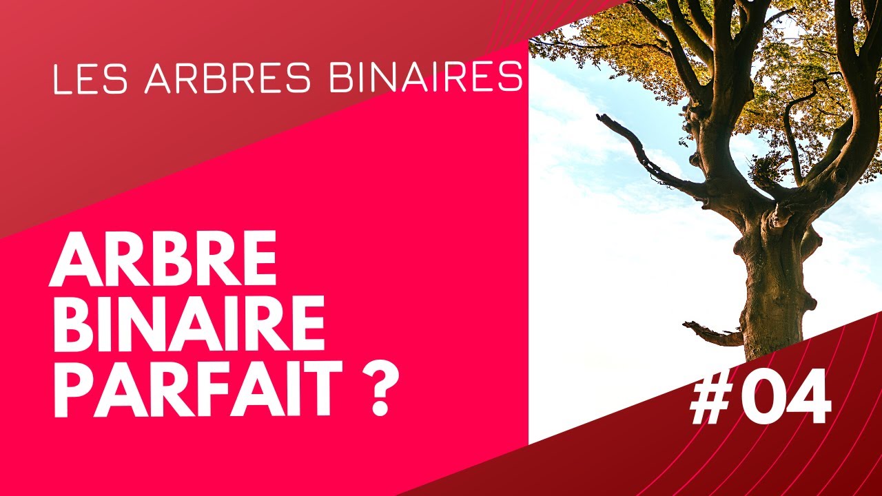 #04 - Arbre Binaire Parfait ? fonction de vérification