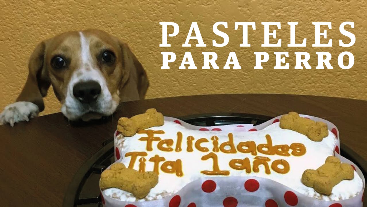 Pasteles para perro