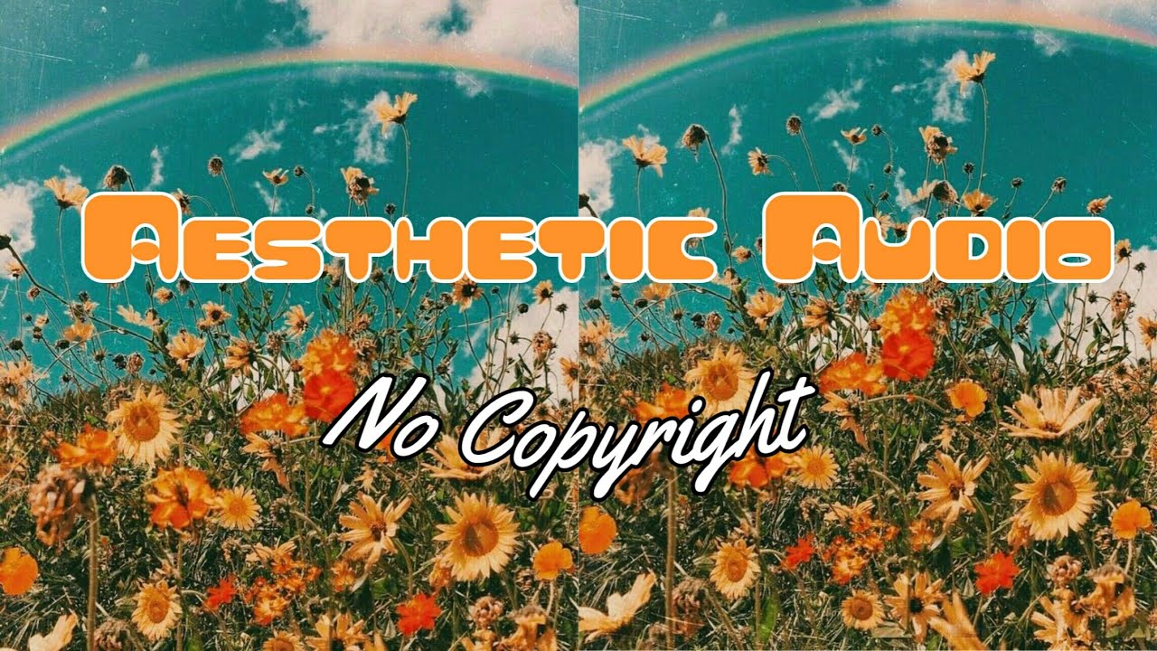 Free Aesthetic Background Music *No Copyright:*