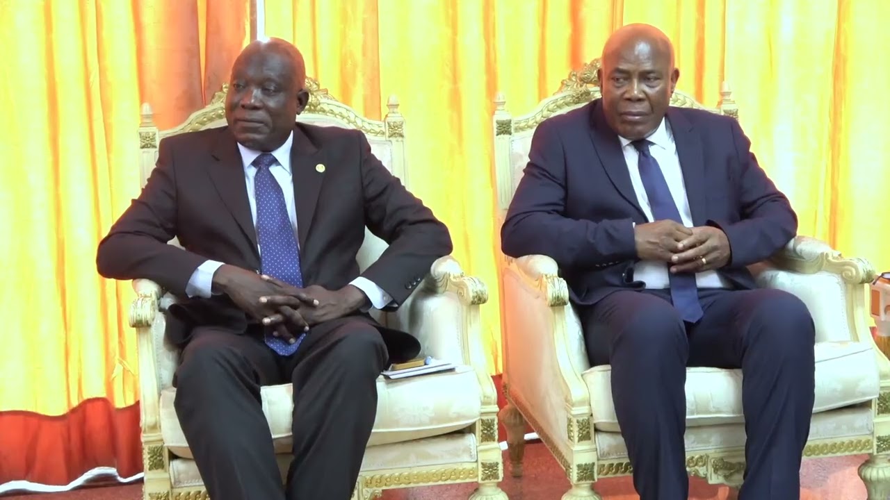 ￼ Réception des copies figurée des lettres de créance du nouvel ambassadeur de Namibie au Congo ￼