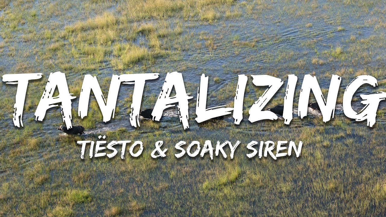 Ti&euml;sto & Soaky Siren - Tantalizing (Lyrics)