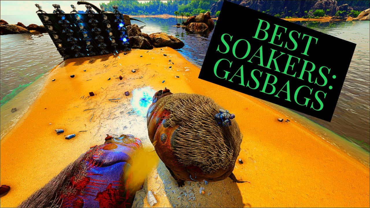 BEST SOAKERS: GASBAGS
