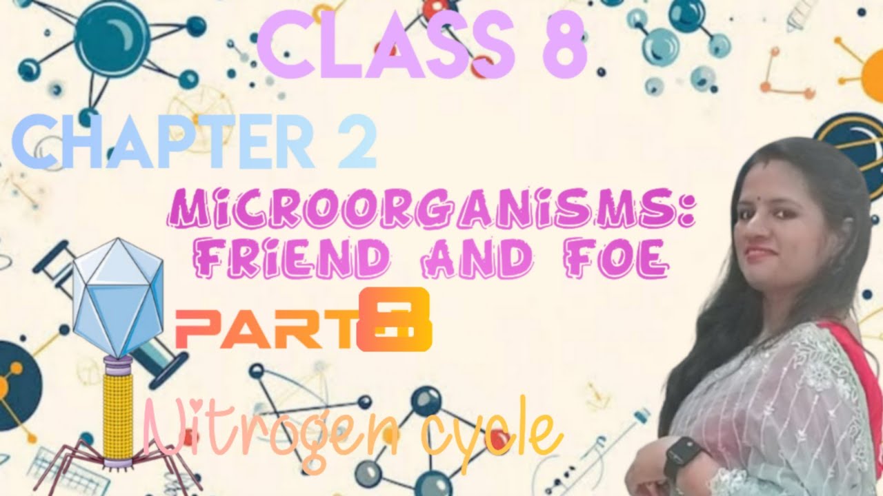 Nitrogen-Cycle|Class-8Science|Chapter -2Micro Organisms-Friend|Nitrogen Fixating Bacteria|Tyclasses 
