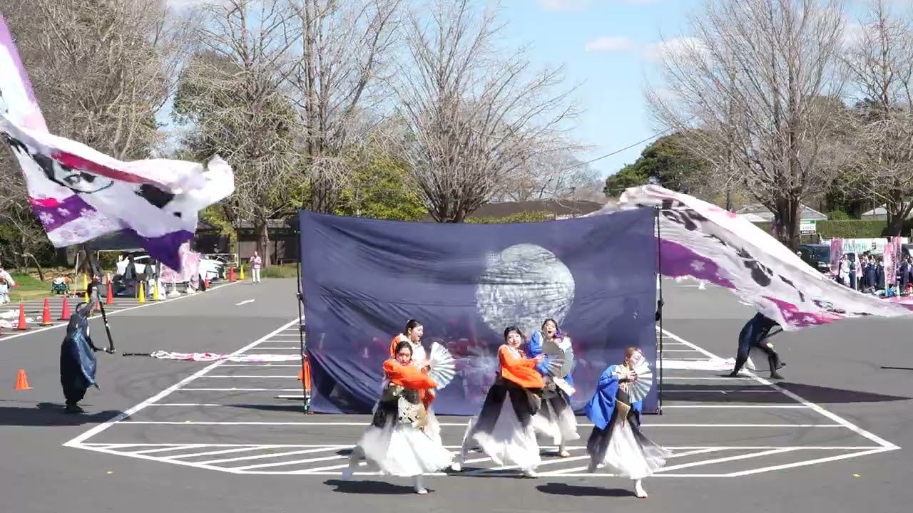 四街道 舞謳歌 / SAKURAよさこい奏蘭 / 2026-03-15