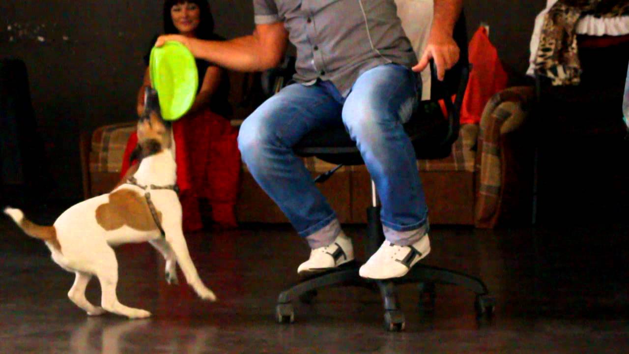 Focus in studio