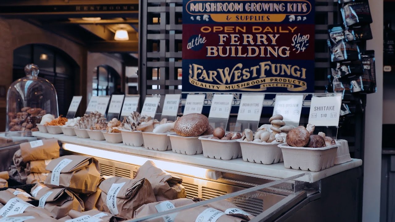 Exotic Mushroom Varieties - America's Heartland