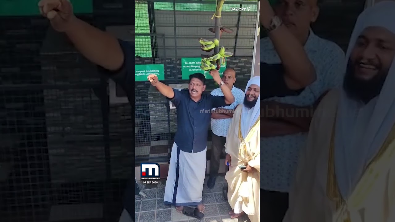 പള്ളി അങ്കണത്തില്&zwj; കൗതുകമായി ഒരു വാഴക്കുലയില്&zwj; പച്ചയും ചുവപ്പും പഴങ്ങള്&zwj; | Banana | Alappuzha