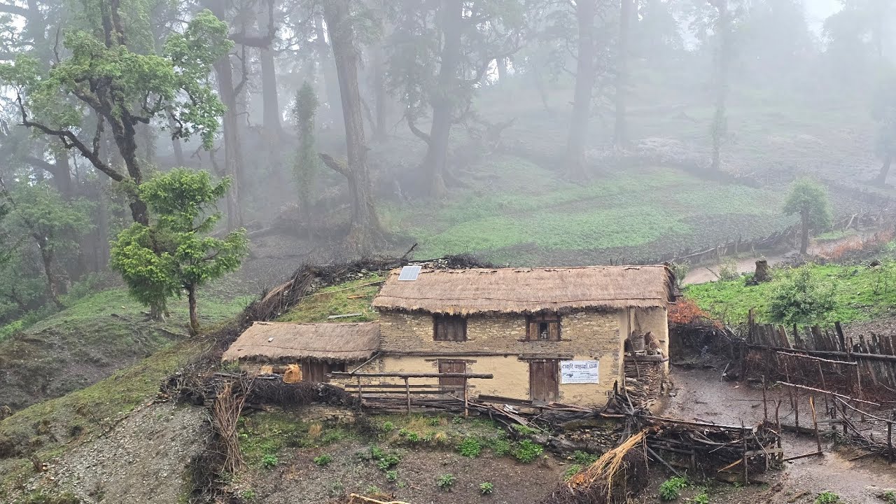 This is Himalayan Life | Rainy Day in Village | Nepal🇳🇵|Ep- 275| Jiree Village |VillageLifeNepal