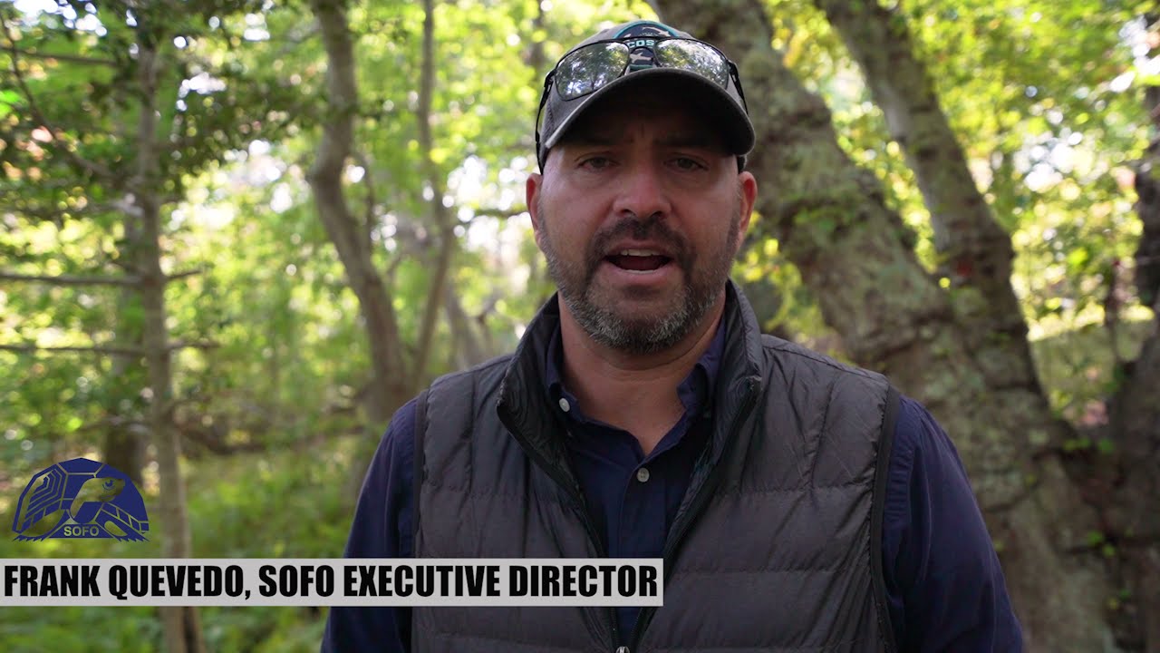 Andy Sabin&rsquo;s Annual Salamander Log Rolling