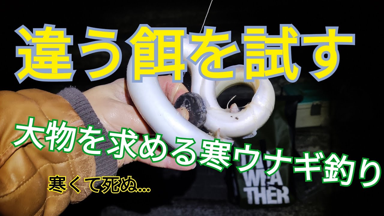 クリスマス寒ウナギ釣り！新餌はどうか？