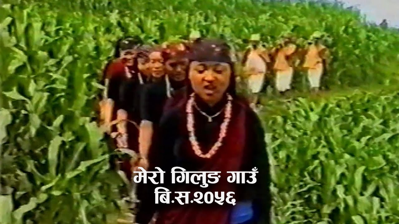 Gilung Village ।  हाम्रो गिलुङ गाउँ चिनारी २०५६  ।  Rudhi Dobha