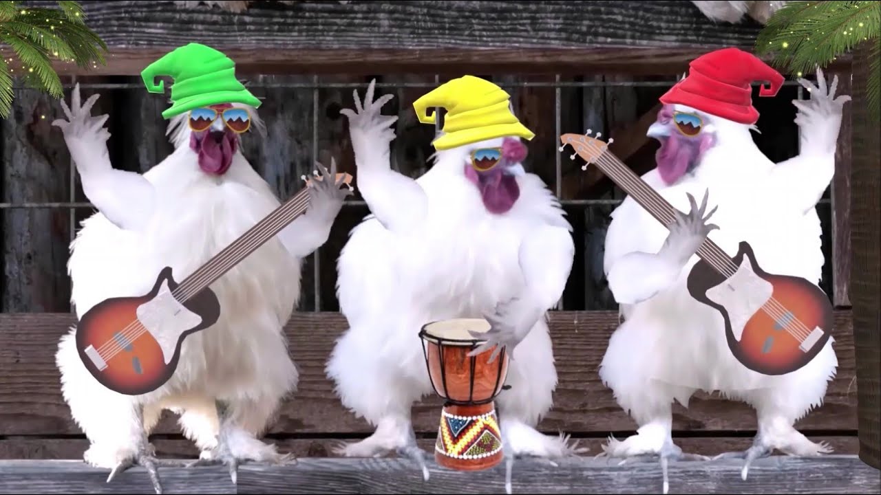 Geburtstag Gl&uuml;ckw&uuml;nsche Reggae 🎸