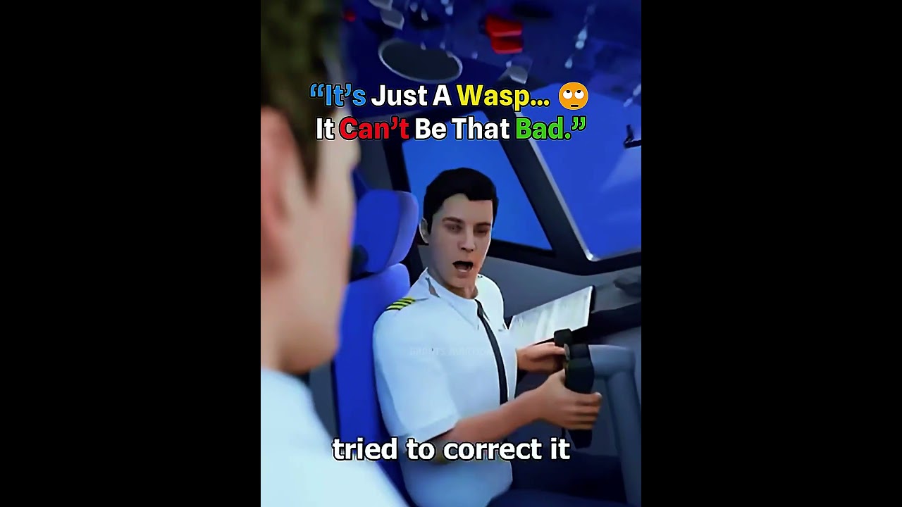 The Wasp Caused a Plane Crash..💀#shorts #aviation #crazy #planecrash
