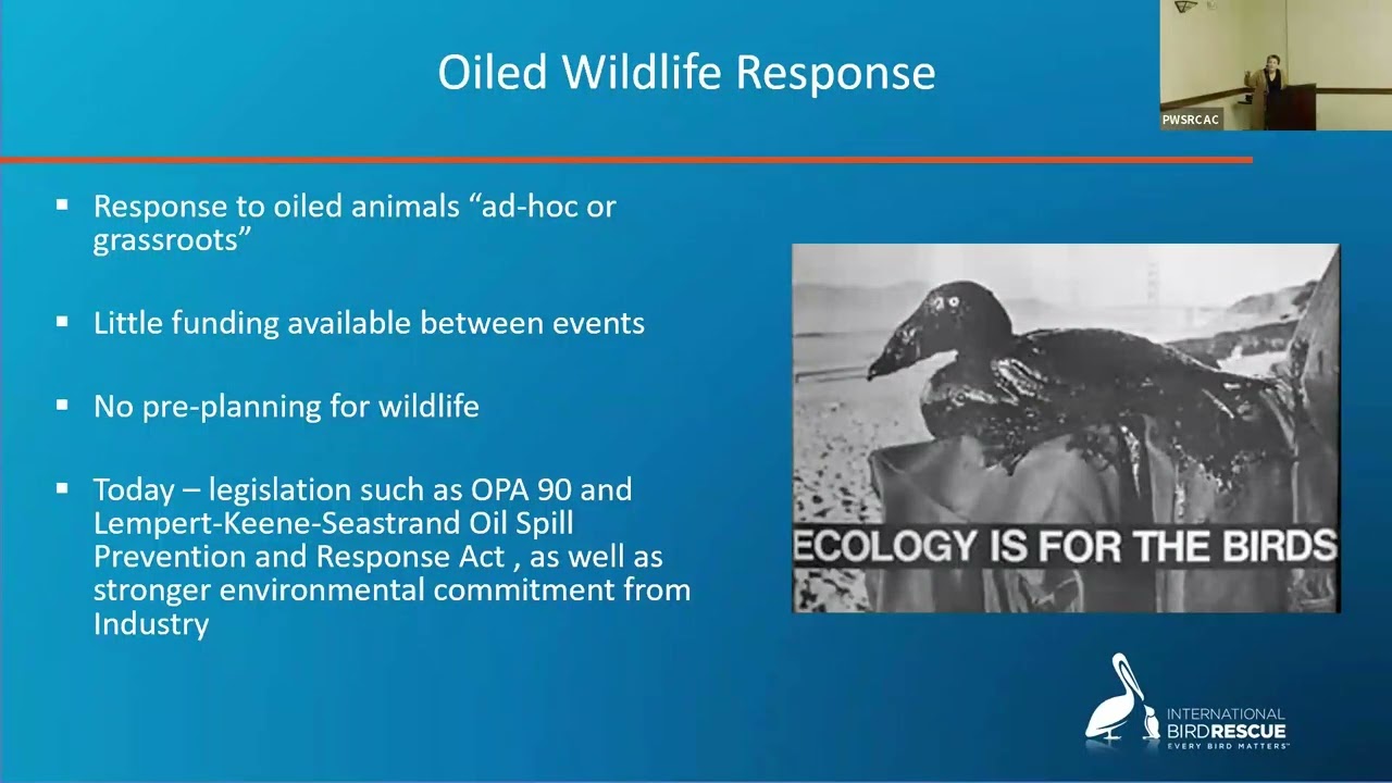 Oiled Wildlife Response and Innovation since the Exxon Valdez with Barbara Callahan