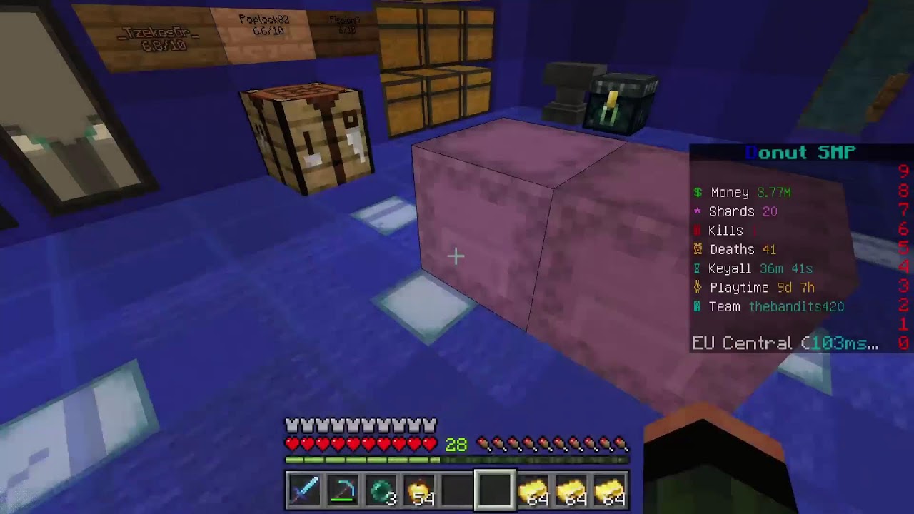 Minecraft playing donut smp base ratings