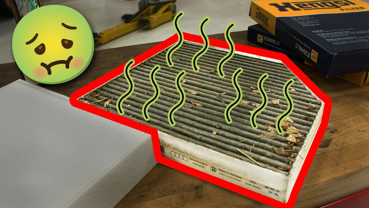 Who Has the 🤢 NASTIEST 🤢 Cabin Air Filter??