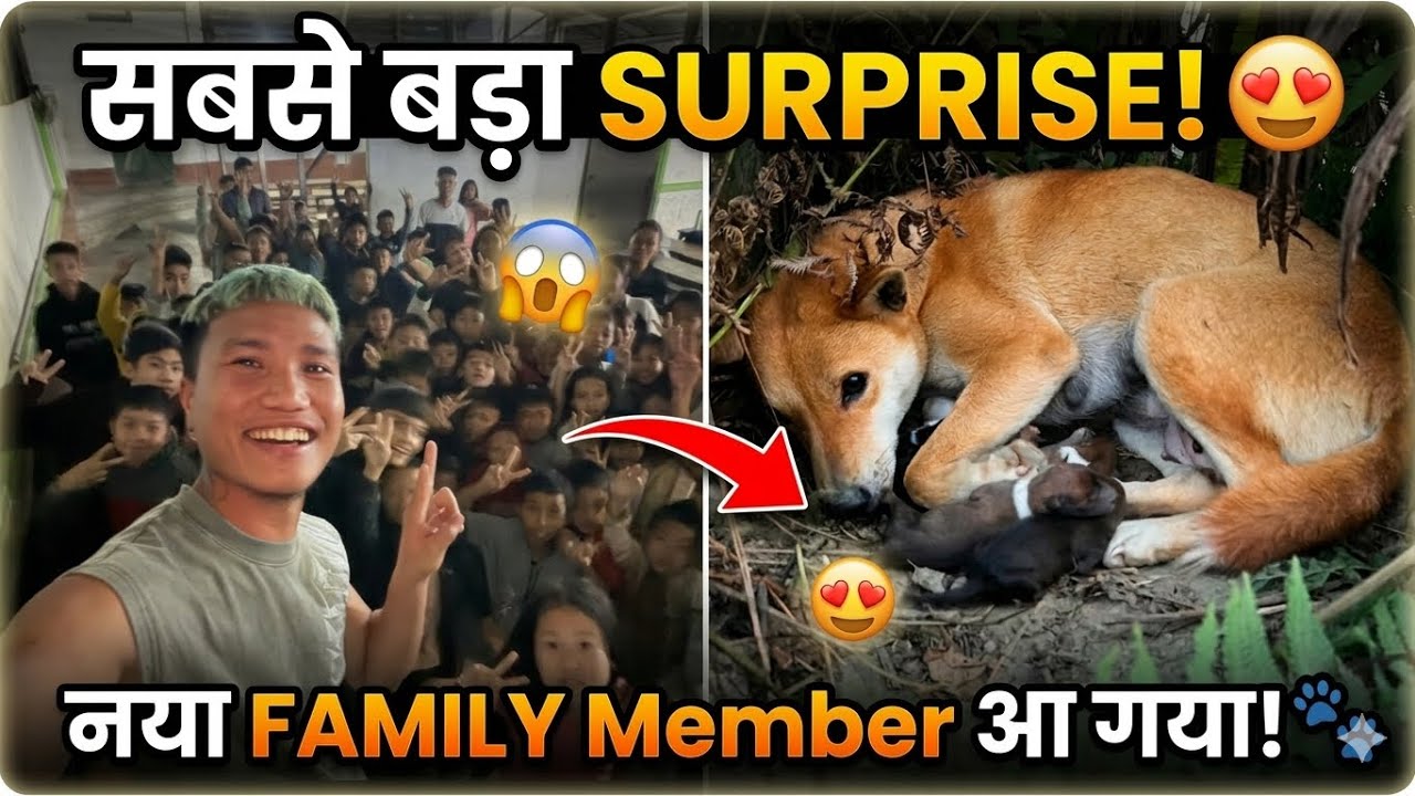 SURPRISE* Guys😍 आज तो SURPRISE मिल गया || New Family Member Aa Gaya🥰 || Village Life💕