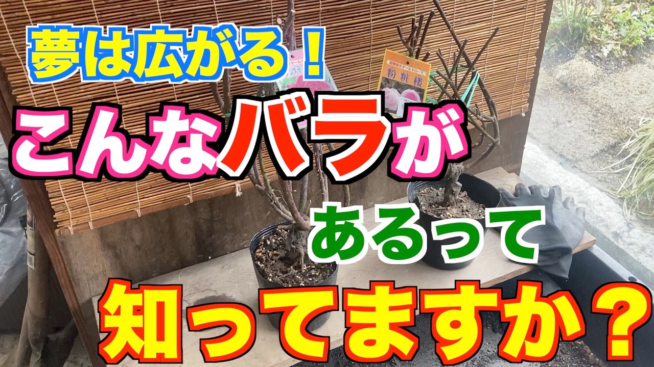 実は、案外簡単なのか…？