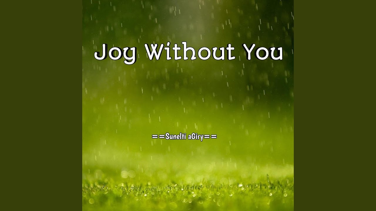 Joy Without You