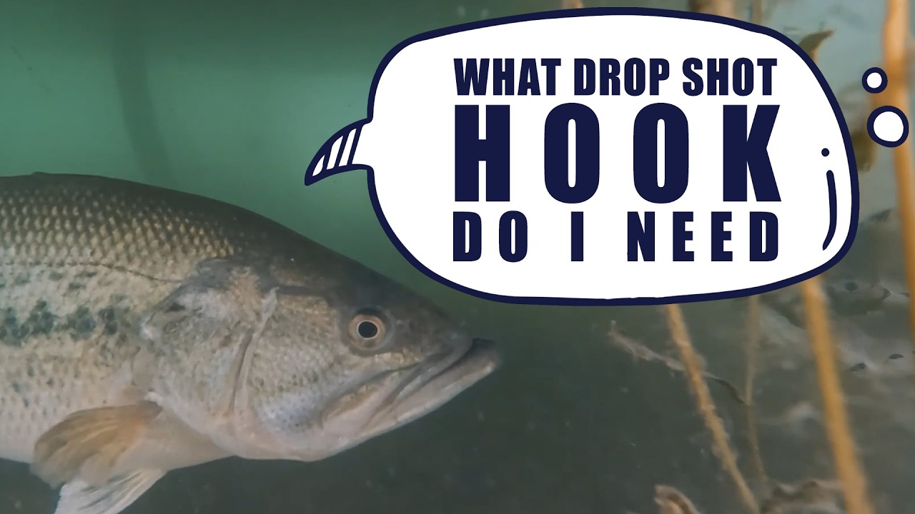 What Drop Shot Hook Do I need?