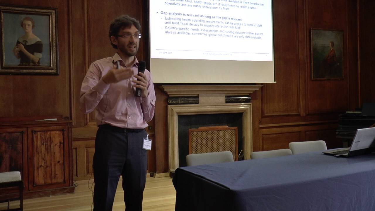 Adrian Gheorghe on methodological consensus on fiscal space modelling