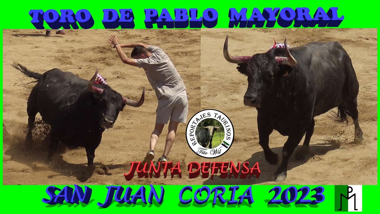 GANADERIA PABLO MAYORAL SAN JUAN CORIA 2023 JUNTA DEFENSA CAPUCHON #sanjuan #coria #toro #fiesta