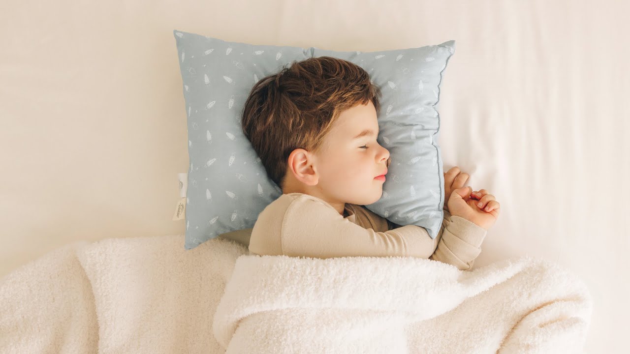 Best Toddler Pillow for Cozy Sleep (Even Our Pup Loves It!)