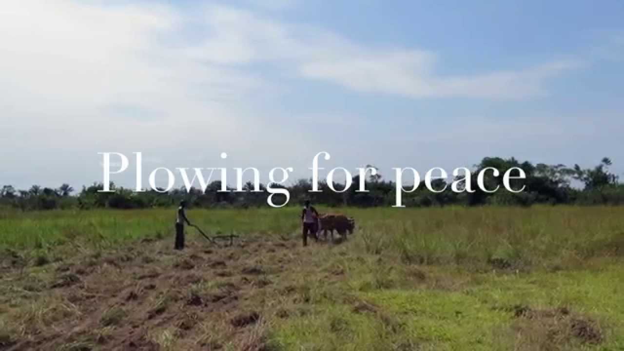 Farming in Congo