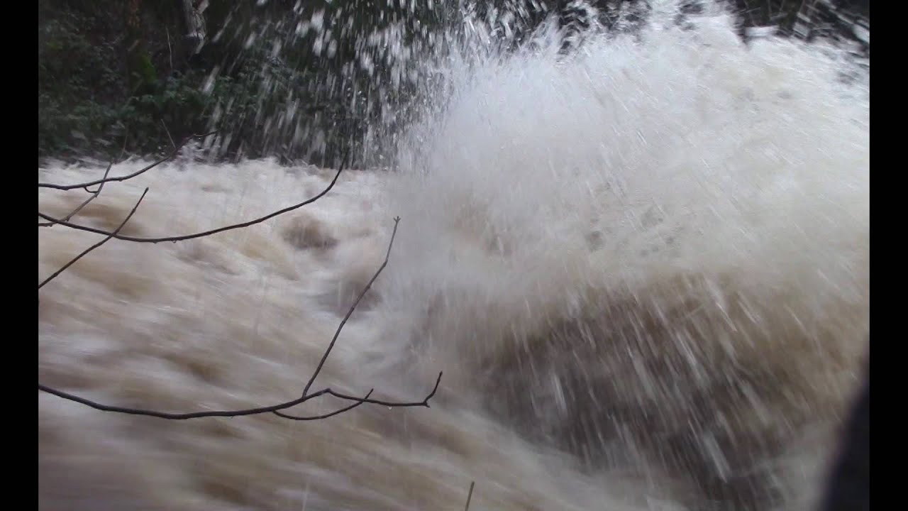 High River levels in my village - North Wales Floods