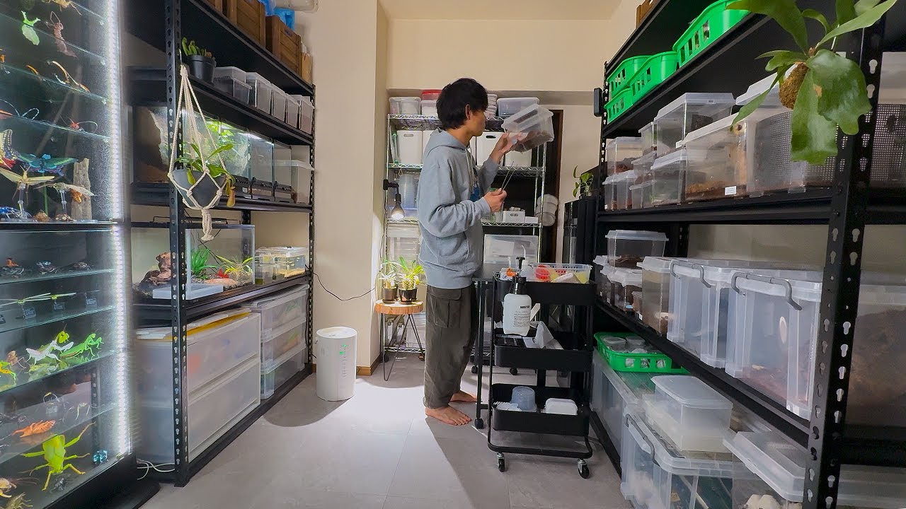 大量の虫と暮らす昆虫YouTuberの部屋がヤバすぎる
