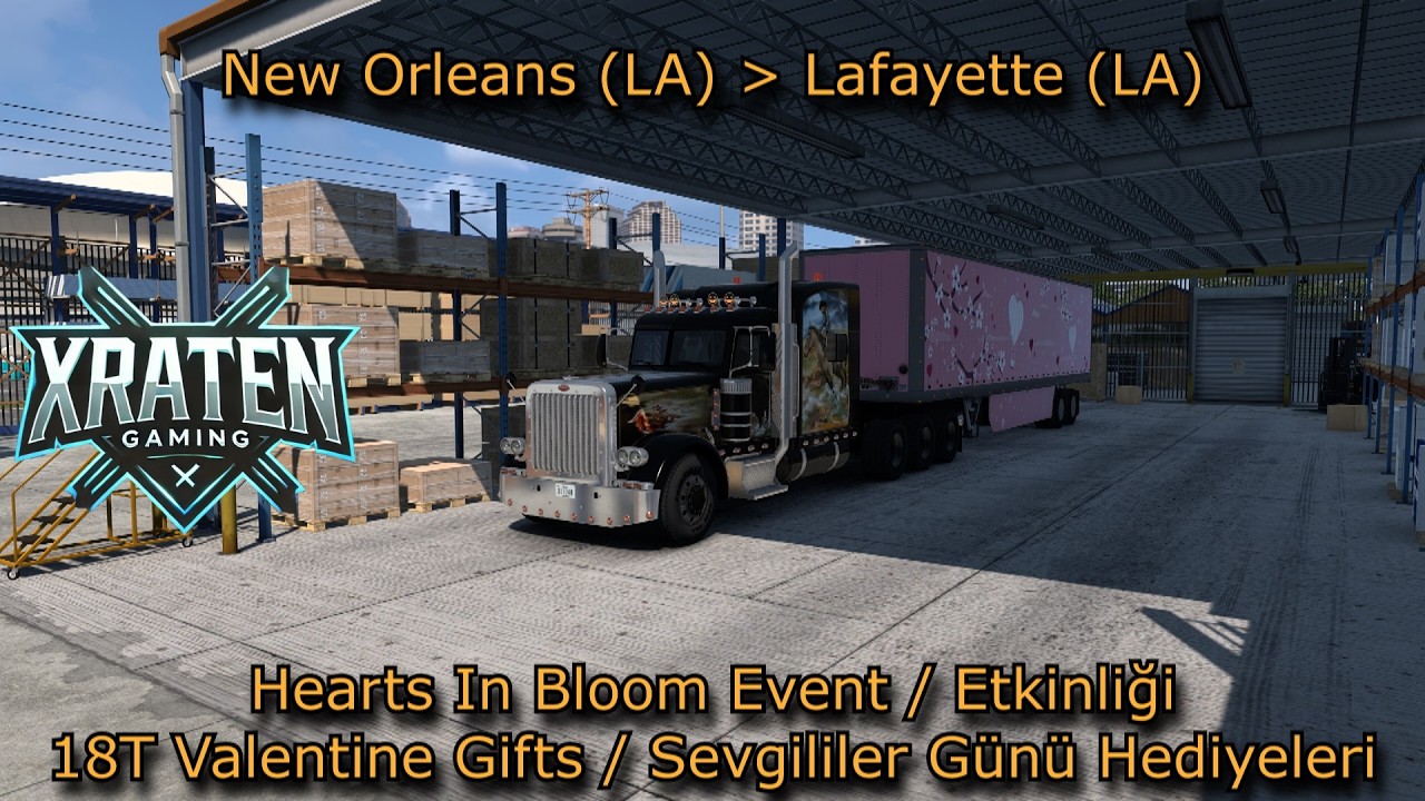 Valentine Gifts Delivery / Sevgililer Günü Hediyeleri Teslimatı / ATS / Logitech G29