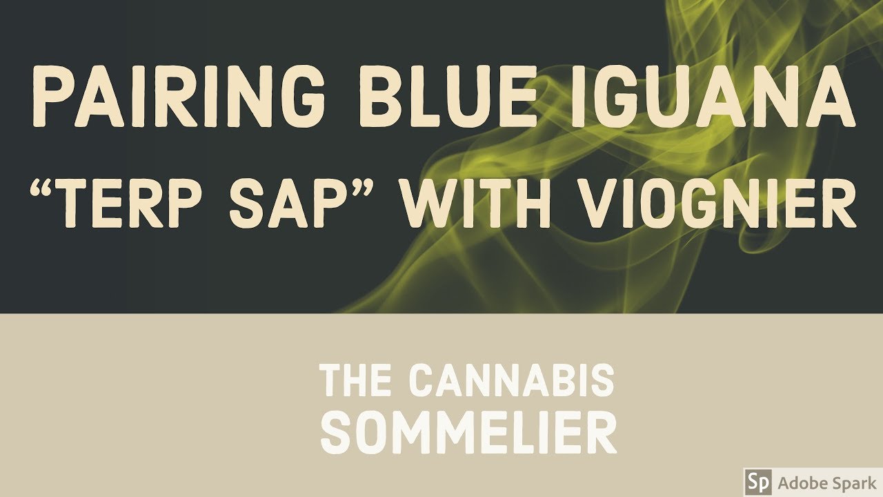 Tasting Weed And Wine | Blue Iguana & Viognier | The Cannabis Sommelier